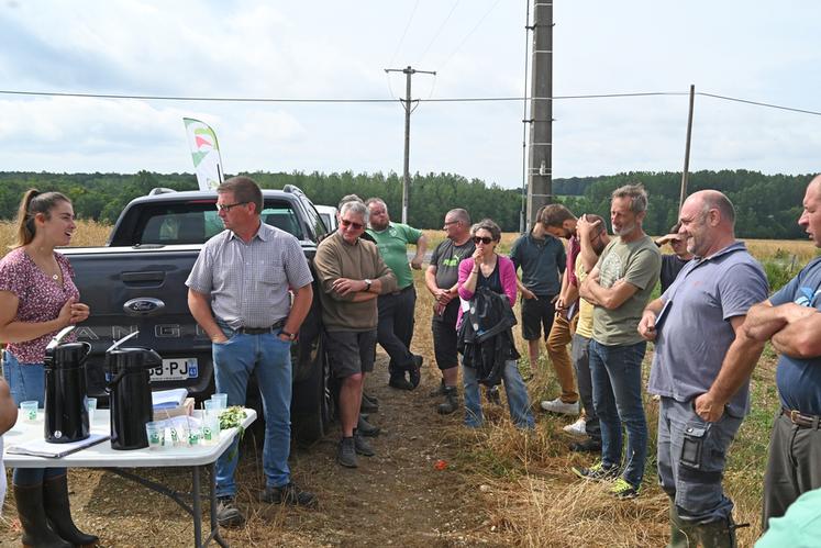 Mardi 20 juin, à Saint-Lubin-en-Vergonnois. La chambre d'Agriculture a organisé une demi-journée technique consacrée au chanvre.