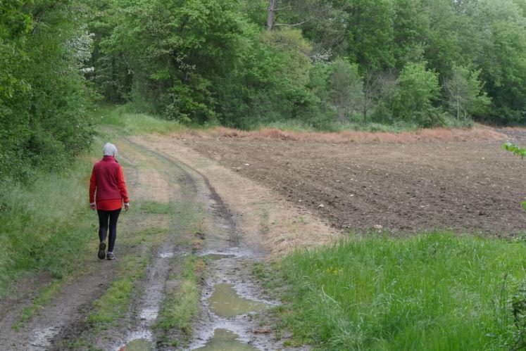 Tout chemin affecté à l'usage du public est présumé, jusqu'à preuve contraire, appartenir à la commune sur le territoire de laquelle il est situé.