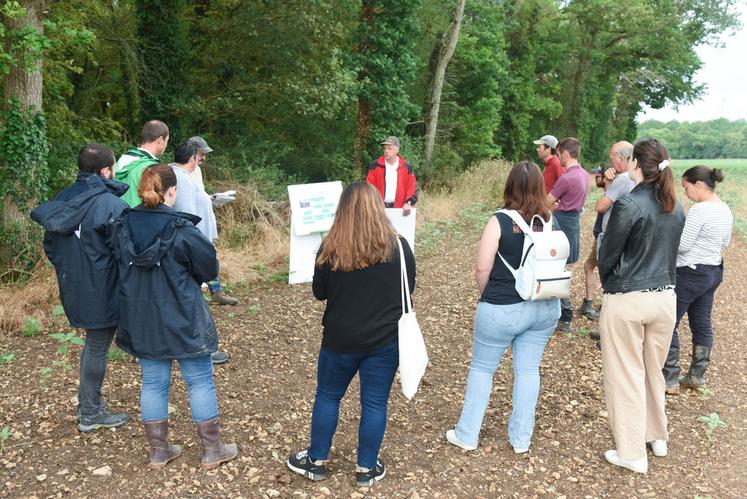 Mardi 20 juin, à Escorpain. L'opportunité de faire du tournesol, mesurée par la Chambre et Terres Inovia, et restituée lors d'une visite d'essais.
