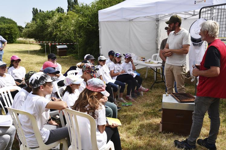 Atelier sur l'apiculture, la ruche et la vie de l’abeille.