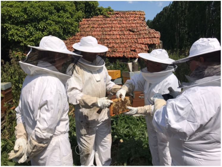 Après un temps d'échange, un moment de découverte sur le terrain a été proposé.