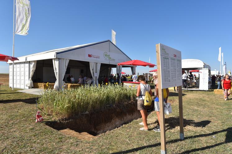 Comme en 2018 ou 2021 (notre photo), ateliers et animations se succéderont au stand C53 au village Agroécologie. 