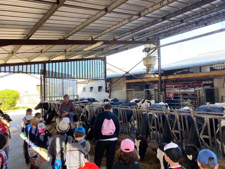 Fay-aux-Loges (Loiret), mercredi 31 mai. Les enfants ont découvert le métier d’éleveur.