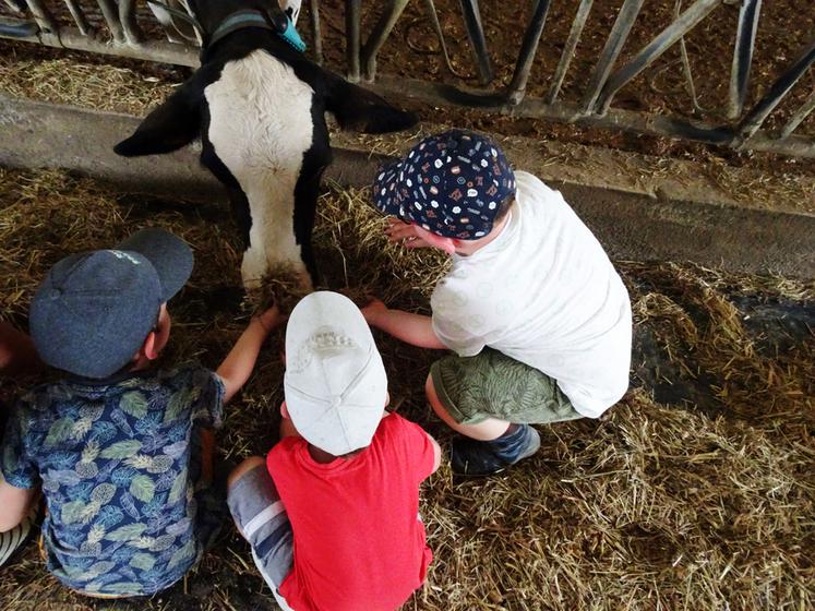 Venesmes (Cher), jeudi 1er juin. Les enfants ont rencontré les animaux de la ferme.