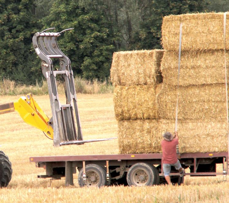 Les mesures de prévention des risques liés à la chaleur doivent être rappelées régulièrement par l’employeur. Tout comportement, situation anormale ou dangereuse doit lui être signalé le plus rapidement possible.