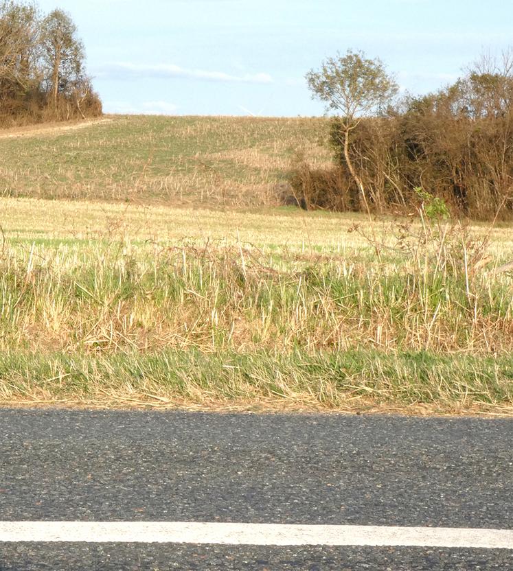 Le désenclavement doit être sollicité par le propriétaire du terrain enclavé, ou par une personne qui dispose d’un droit réel sur ce terrain.