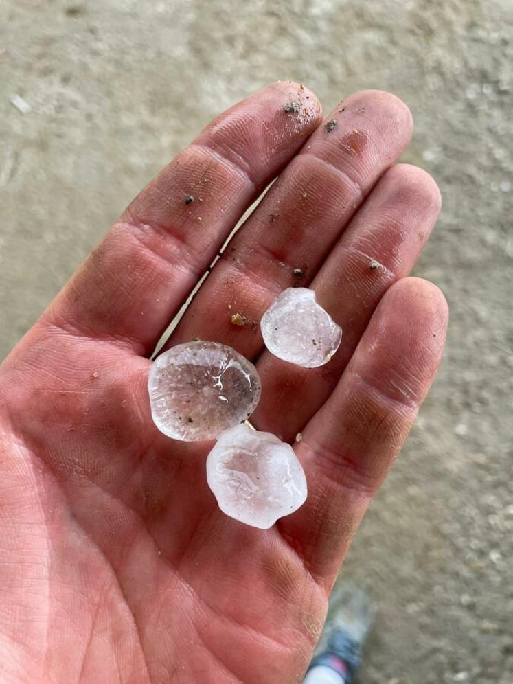 Sur un couloir d'un kilomètre de large et près de quarante kilomètres de long, la grêle a causé d'importants dégâts dans les champs.