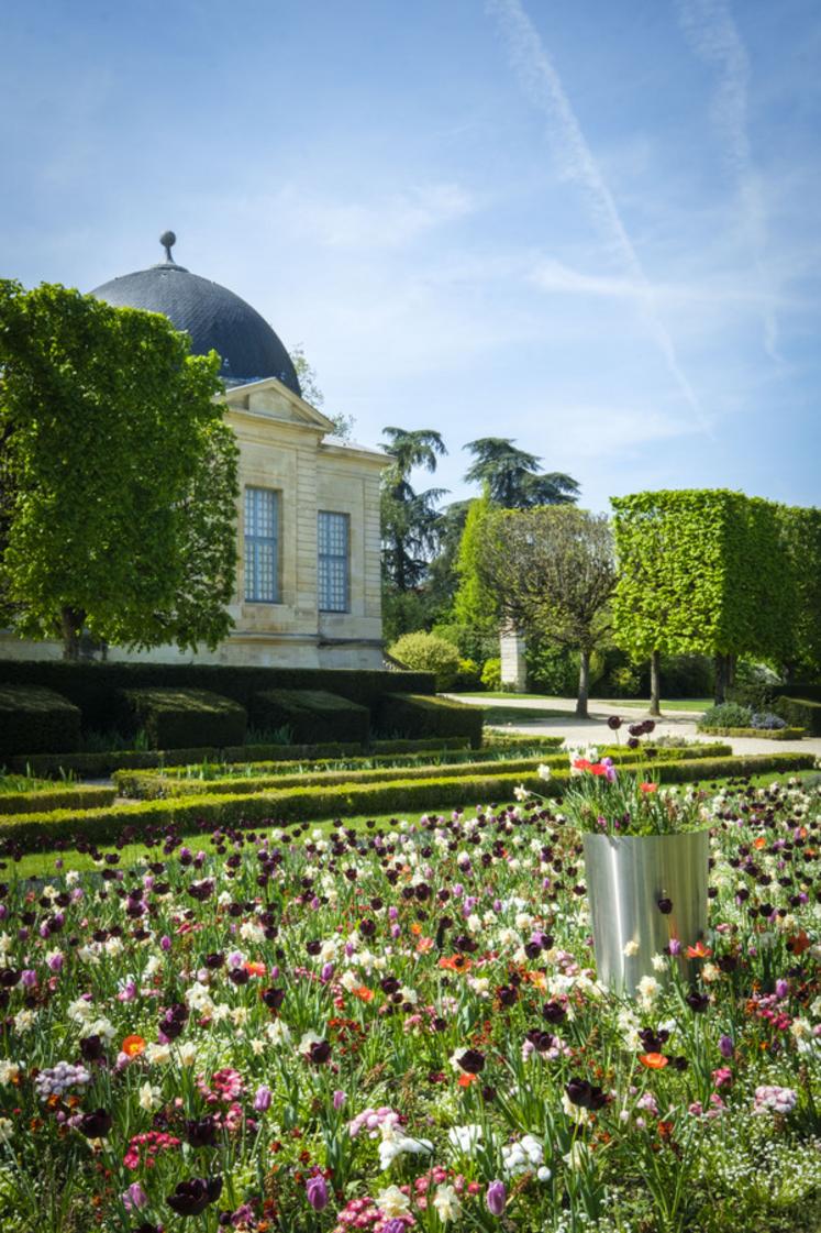 Floraison du jardin du Pavillon de l'Aurore, domaine départemental de Sceaux.(avril 2022)