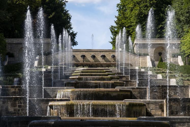 Parc du domaine de Sceaux, juillet 2022.