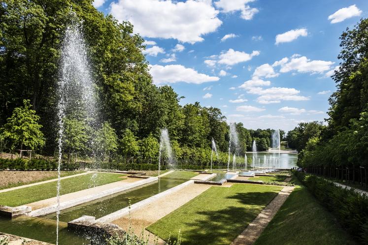 Parc du domaine de Sceaux, juillet 2022.