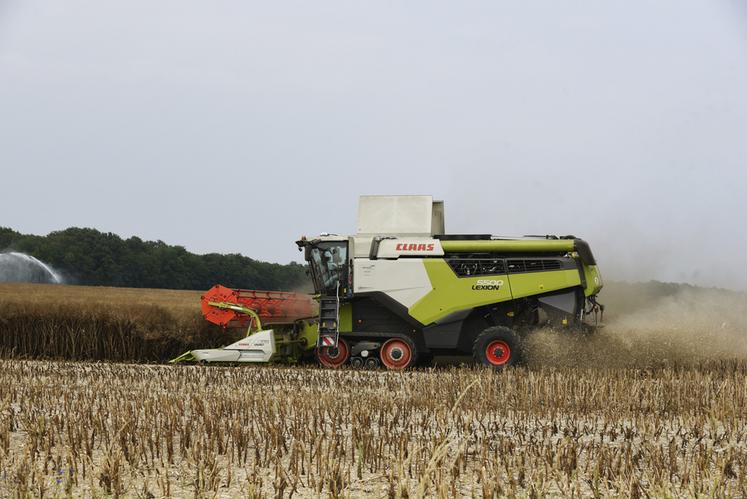 Le 29 juin, près de Coullons. Le colza commençait à être récolté chez cet agriculteur du Giennois.