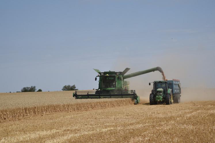 Mardi 18 juillet, à Berchères-les-Pierres. Les rendements de la campagne en cours sont très hétérogènes.