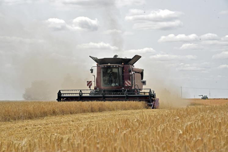 Le 28 juin, à Sonchamp (Yvelines). Débutée dès la fin juin, la récolte des orges d'hiver a donné satisfaction sur l'ensemble du territoire.