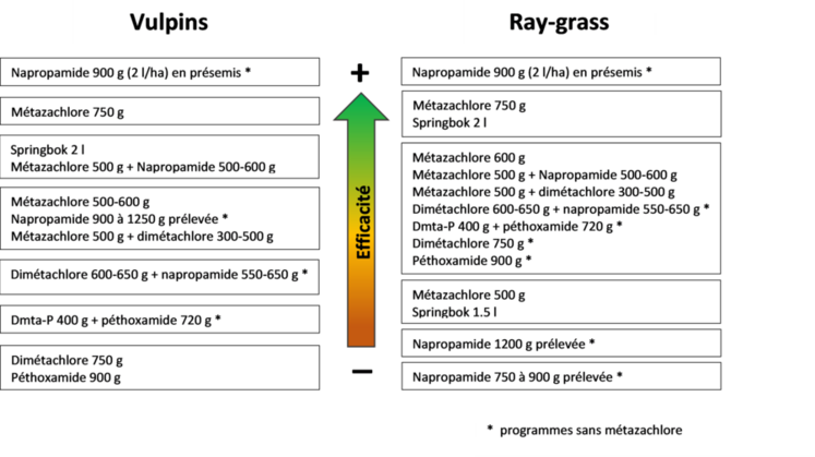 Synthèse des efficacités sur vulpin et ray-grass des applications au semis (essais de Terres Inovia). 