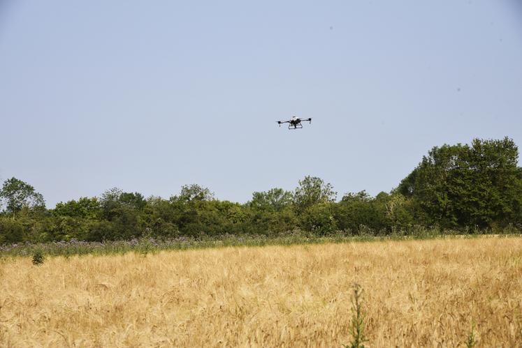 Après avoir cartographié la parcelle, le drone gère le semis en autonomie par bande de 6 mètres et vole à 6 mètres de haut.