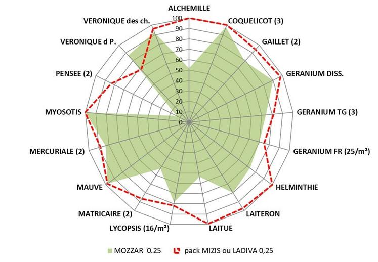 Efficacités comparées des solutions Mozzar et Ladiva (ou pack Mizis) appliquées dès le 1er octobre sur un colza à 4 feuilles ou plus. Source : essais désherbage Terres Inovia 2021-2023.