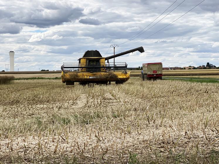 Les rendements des moissons de la campagne 2023 sont hétérogènes en Loir-et-Cher. 