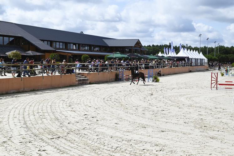 Plus de 25 000 personnes en moyenne étaient présentes chaque jour du championnat pour venir soutenir les concurrents. 