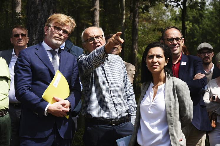 Ils se sont ensuite rendus à Tigy, où Geoffroy de Moncuit leur a montré sa plantation de 1 200 cèdres d’Atlas sur un peu plus d’un hectare.