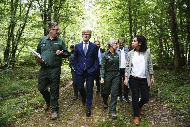 Les deux représentants de l'État ont d'abord visité un îlot d'avenir de plus d'un hectare, composé de chênes pubescents, en forêt domaniale d'Orléans. 