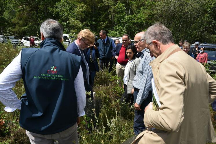 Toujours sur la propriété de Geoffroy de Moncuit, Marc Fesneau et Sarah El  Haïry, ont été accompagnés dans une parcelle de plantation de chênes pubescents.