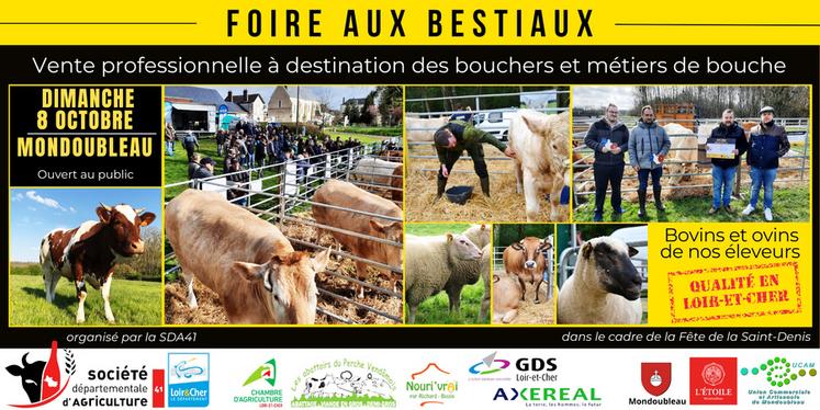 Les inscriptions pour la foire aux bestiaux de Mondoubleau le 8 octobre prochain sont ouvertes. 