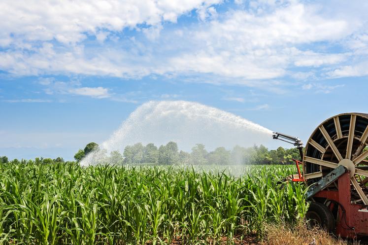 Irristop détermine le moment opportun pour stopper l’irrigation à la parcelle.