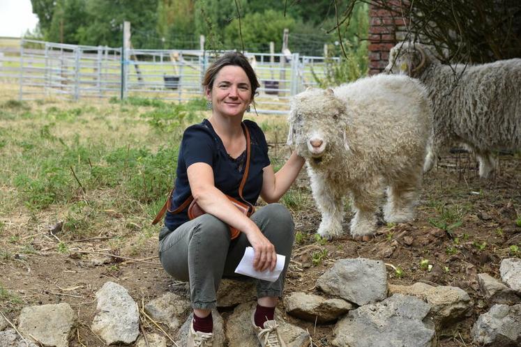 La ferme des P'tits Bergers propose la laine mohair sous le label Mohair de nos chèvres.