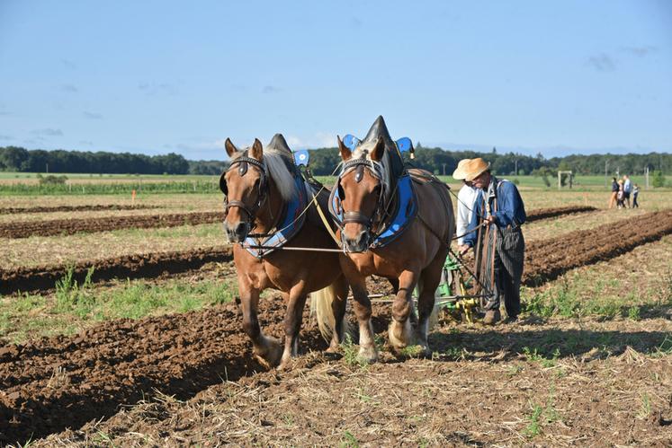 Avec près de vingt participants, le concours de labour à l'ancienne a remporté quant à lui un certain succès.