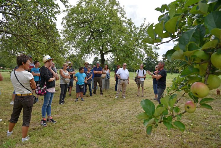 À Dammarie-sur-Loing, il y avait foule pour découvrir les vergers et la cidrerie de la ferme des Petites Vallées.