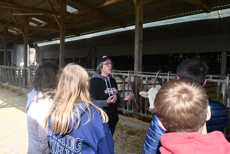 Cécile Chevereau, éleveuse d'un élevage bovin allaitant a pris le temps d'expliquer son exploitation et son métier aux élèves présents. 