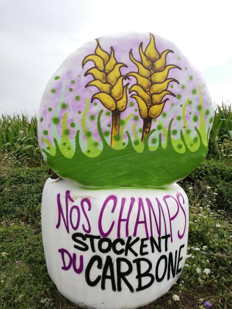 L'artiste à l'oeuvre met à l'honneur le brie.