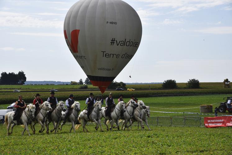 Les chevaux de l'association Les Camarguais du Vexin étaient au rendez-vous avec des démonstrations tout le week-end.