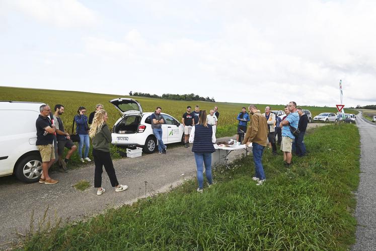 Mardi 29 août, à Avaray. Une vingtaine d'agriculteurs étaient présents lors de la demi-journée technique dédiée à la culture du chanvre.