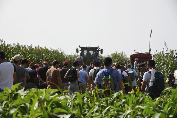 Beaucoup de monde également pour découvrir un procédé de destruction mécanique sur un couvert de végétaux sorgho-tournesol en interculture, grâce à une fraise rotative de la marque Valentini.