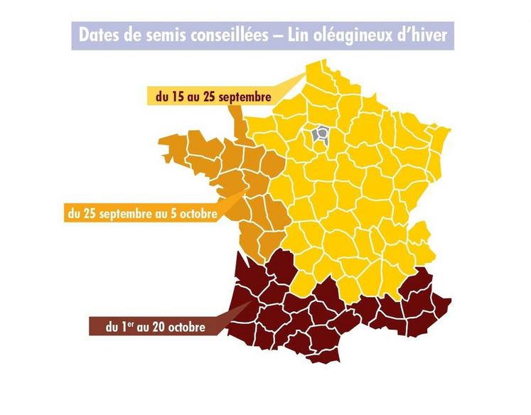 Dates de semis conseillées du lin oléagineux d'hiver.