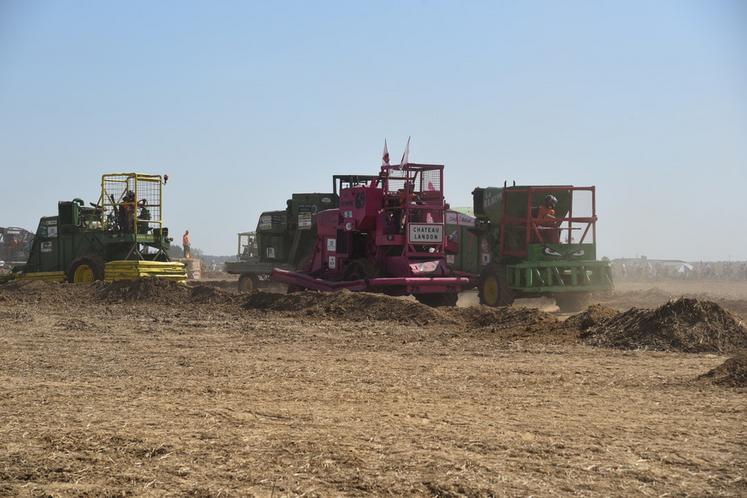 Dix-sept machines étaient alignées sur la ligne de départ du moiss-batt-cross.