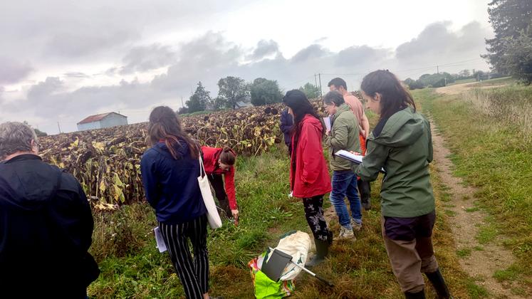 Mardi 12 septembre, les partenaires Agrifaune se sont réunis dans le Loiret pour préciser les enjeux agroécologiques des bordures de champs.