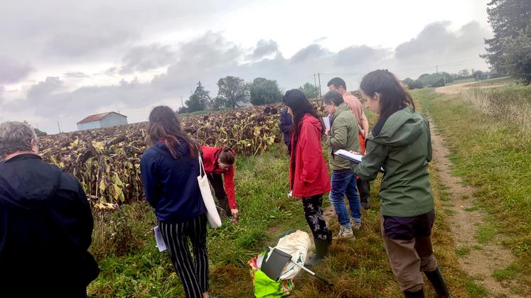 Mardi 12 septembre, les partenaires Agrifaune se sont réunis dans le Loiret pour préciser les enjeux agroécologiques des bordures de champs.