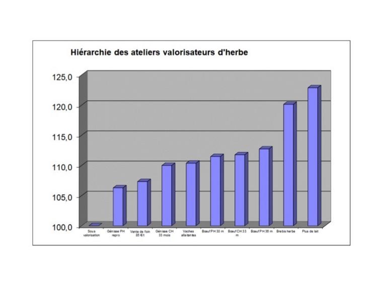 Le bœuf laitier reste économiquement rentable et simple à conduire.