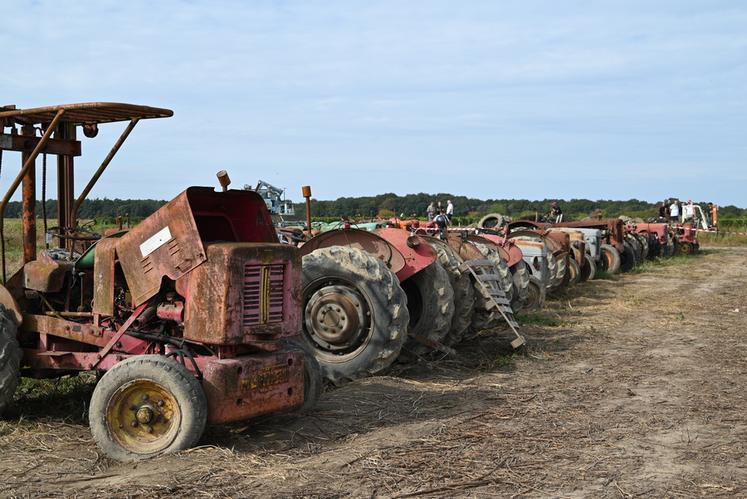 La collection était composée de plus de 630 lots, dont 380 tracteurs. 