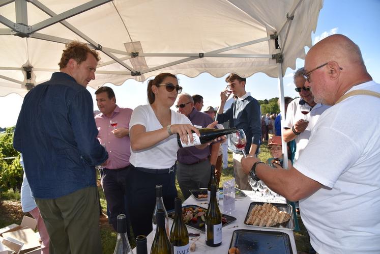 Une dégustation pour le grand public était organisée au cœur des vignes.