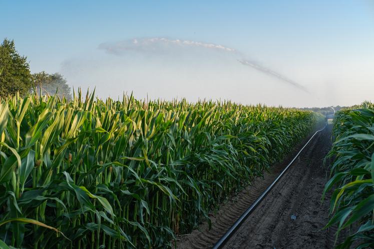 Augmenter le diamètre des tuyaux polyéthylène des enrouleurs permet de réduire la dépense énergétique en limitant les pertes de pression.
