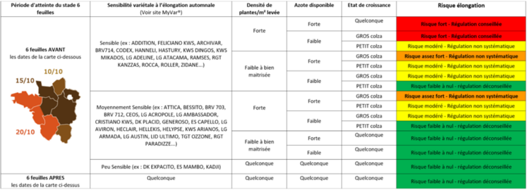 Grille de décision face au risque d'élongation du colza.