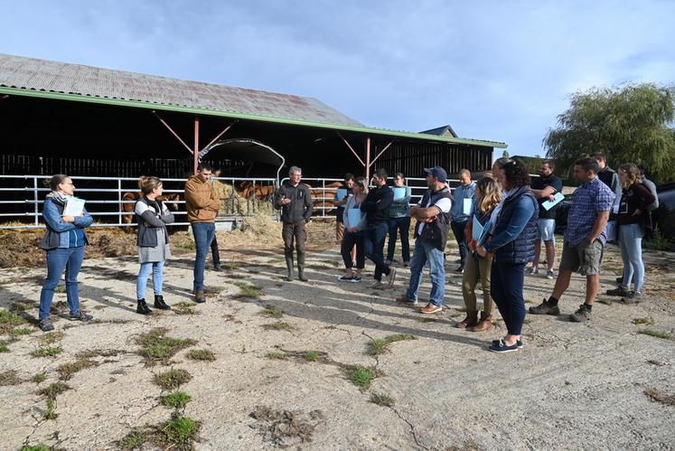 Mardi 26 septembre, à Sargé-sur-Braye. La chambre d'Agriculture de Loir-et-Cher a organisé une Matinée allaitante avec plus d'une vingtaine d'éleveurs du nord du département. 