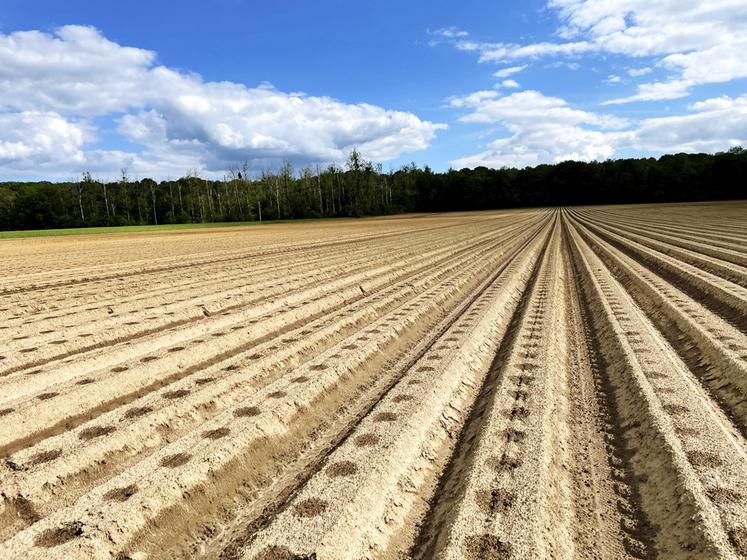 La demande d’installation de systèmes goutte-à-goutte est en constante augmentation. 