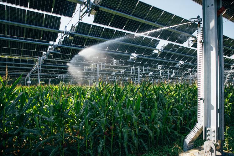 L’installation est probablement un système de protection contre les aléas climatiques, que sont la grêle, le gel tardif, la sécheresse et les fortes températures. 