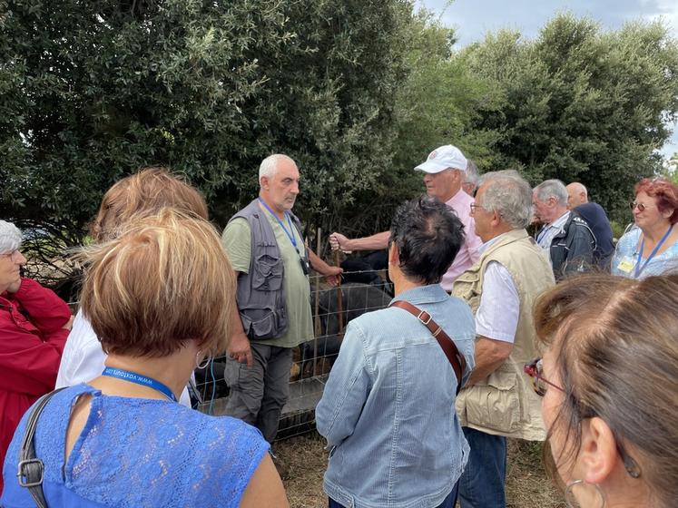 Angeot, personnage corse haut en couleur, accueille le groupe pour présenter son élevage de porcs et sa profession. Lorsqu’il ne veut pas répondre aux questions indiscrètes, inutile d’insister, la réponse est toute faite : « Ici, on est en Corse… ». 