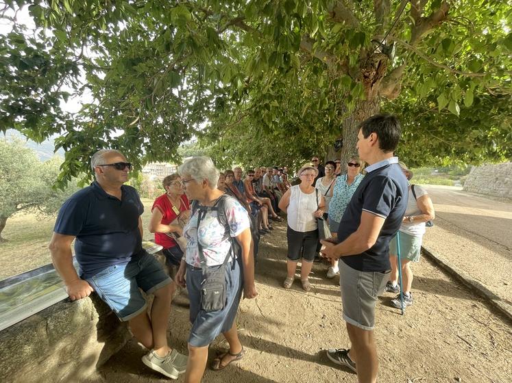 À Sainte-Lucie-de-Tallano, les anciens se rendent dans l’oliveraie de Jacques, qui présente l’olivier, arbre emblématique et majestueux, symbole de paix, ainsi que sa technique d’exploitation. À son retour sur l’île, il a défriché les parcelles de maquis qui lui appartenaient afin de permettre aux oliviers, parfois centenaires, de s’épanouir.