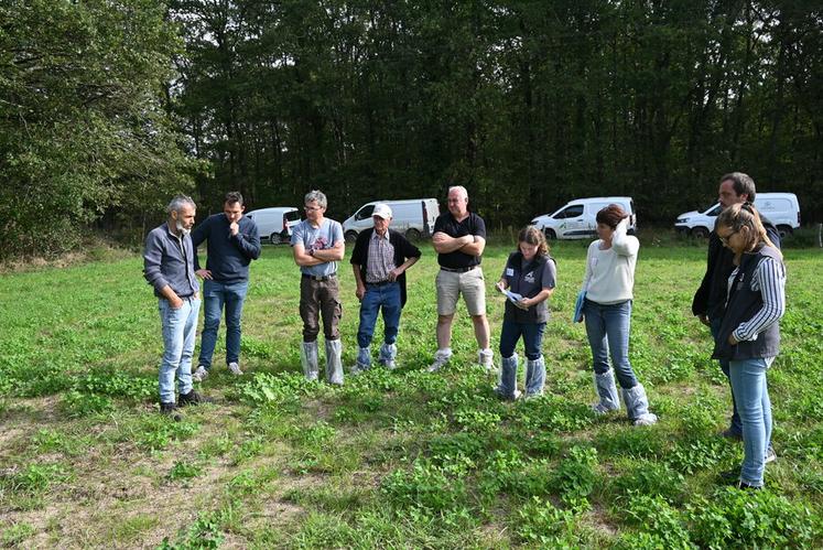 Jeudi 28 septembre, à Courmenin. Les éleveurs se sont réunis lors de la Matinée allaitante pour échanger sur leurs pratiques et partager leur expérience. 